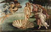 Sandro Botticelli The Birth of Venus (mk08) Spain oil painting artist